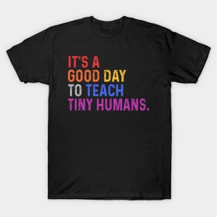 It's A Good Day To Teach Tiny Humans T-Shirt